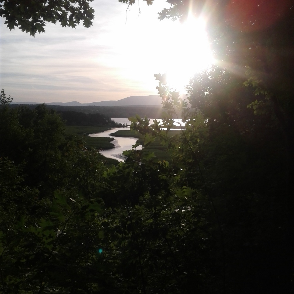 Meet your Posher, Perlita